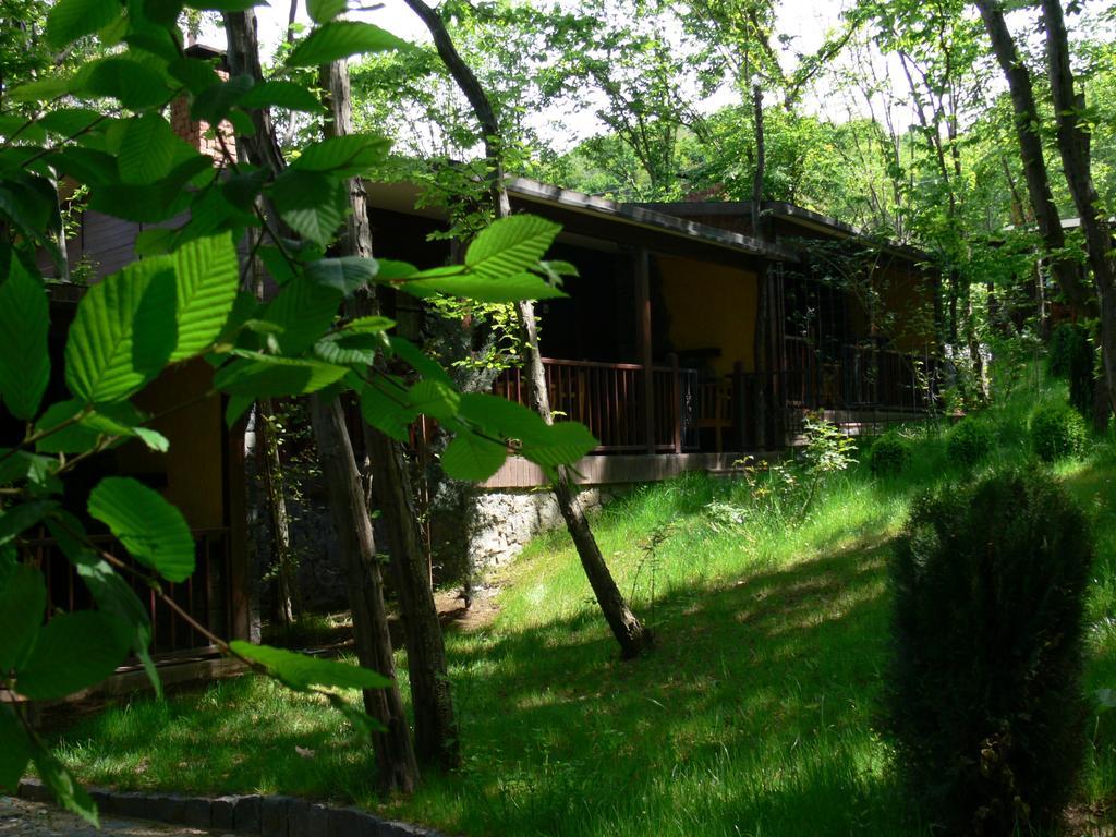 Dolunay Fanizan Hotel Fatsa Zimmer foto